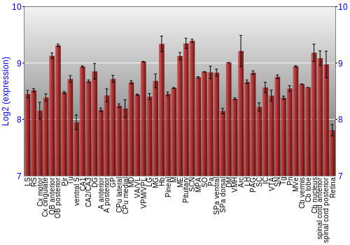 Expression graph