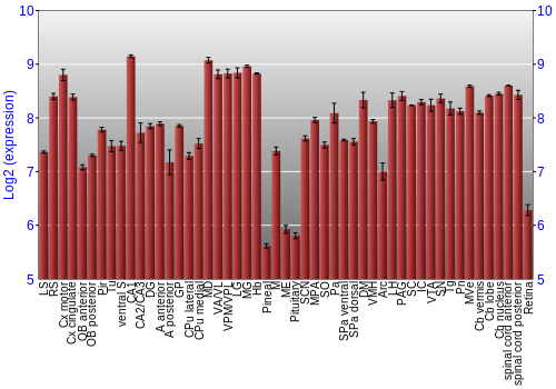 Expression graph
