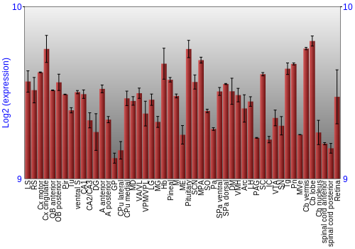 Expression graph