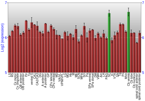 Multi-state expression graph