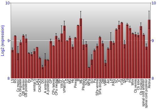 Expression graph