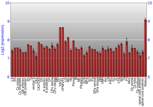 Expression graph