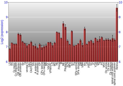 Expression graph