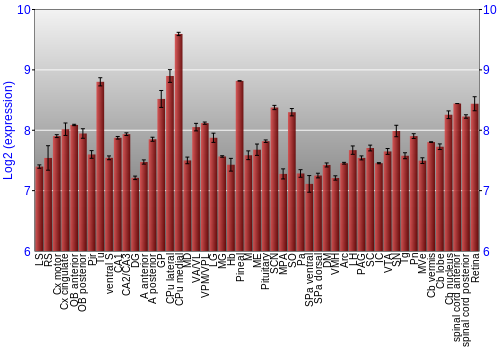 Expression graph