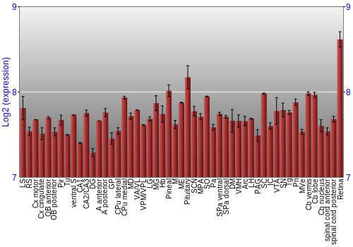 Expression graph