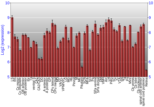 Expression graph