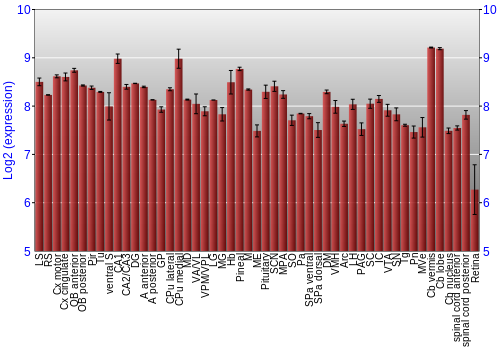Expression graph