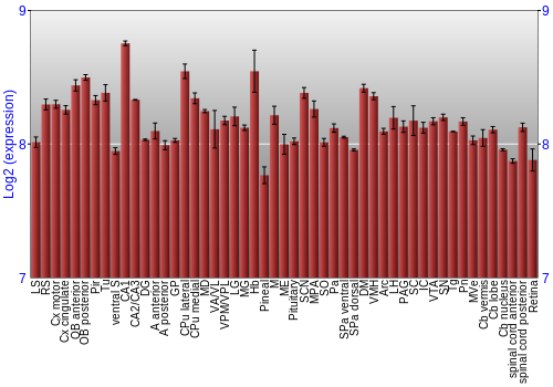 Expression graph