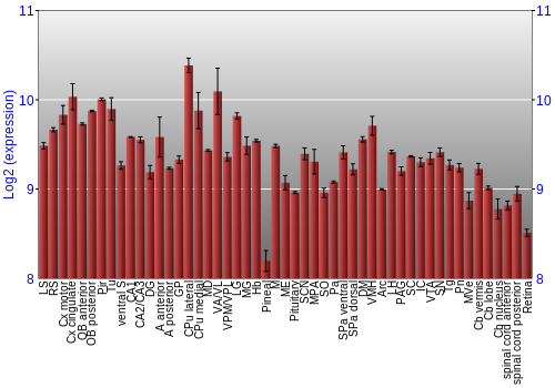 Expression graph