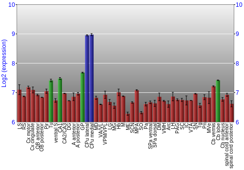 Multi-state expression graph