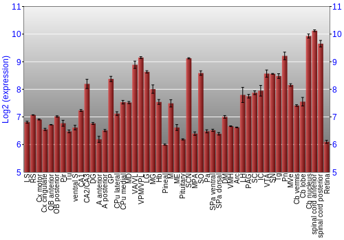 Expression graph