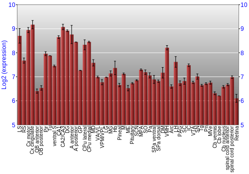 Expression graph