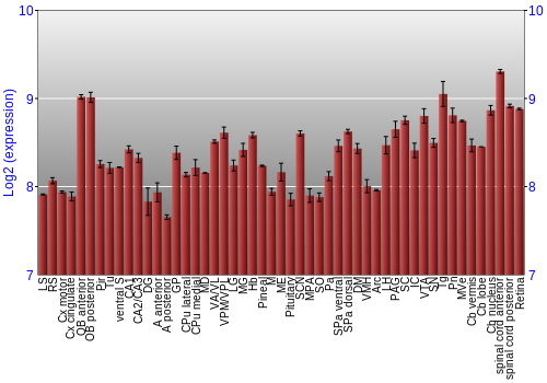 Expression graph