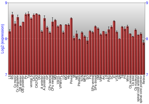 Expression graph