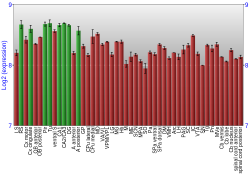 Multi-state expression graph