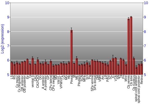 Expression graph