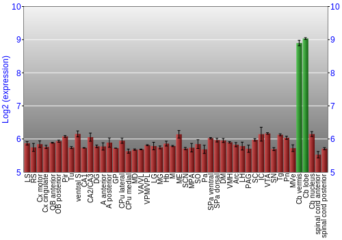 Multi-state expression graph