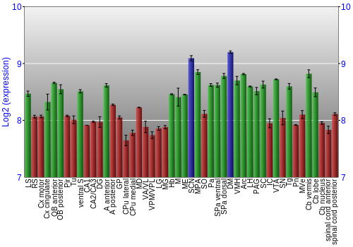 Multi-state expression graph