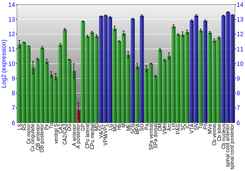 Multi-state expression graph