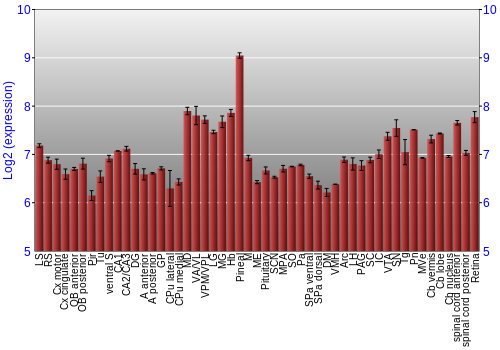 Expression graph