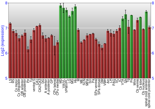 Multi-state expression graph