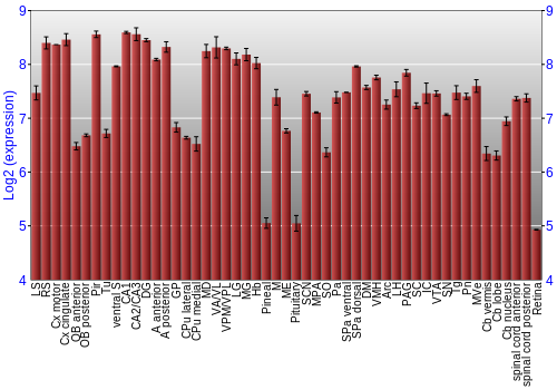 Expression graph