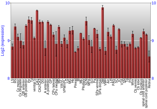 Expression graph