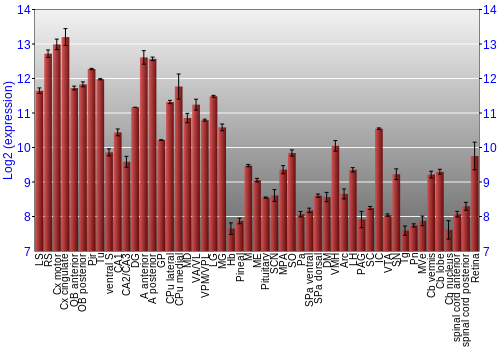 Expression graph