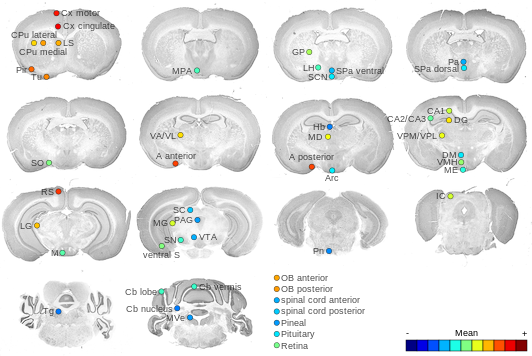 Expression map
