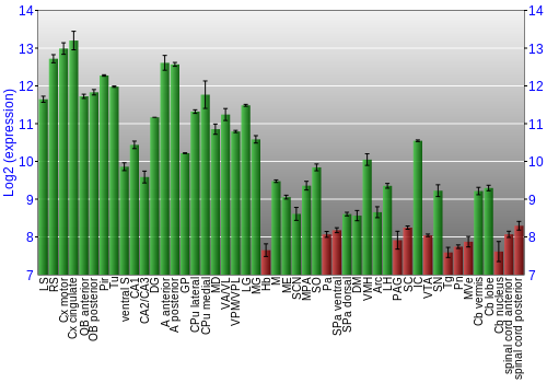 Multi-state expression graph