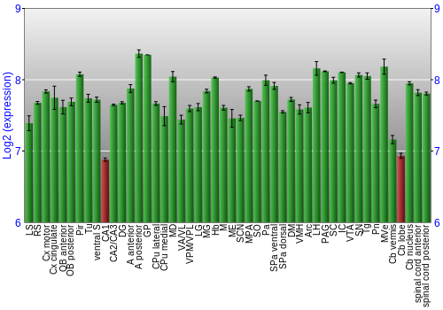Multi-state expression graph