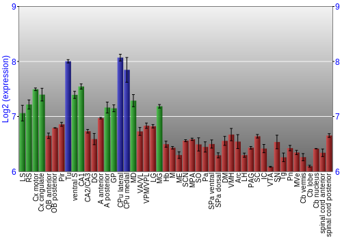 Multi-state expression graph