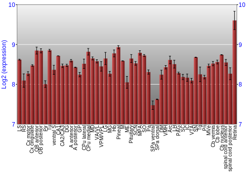 Expression graph