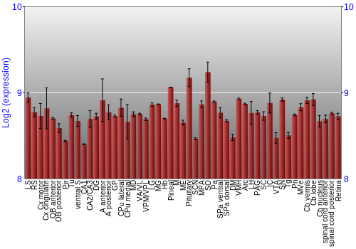 Expression graph