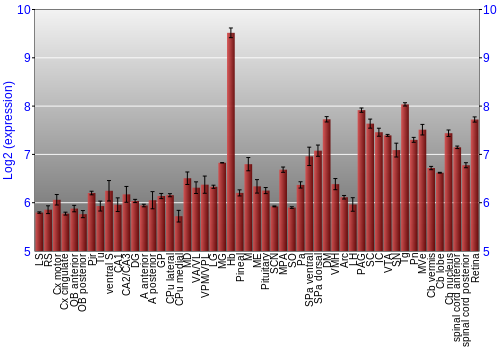 Expression graph