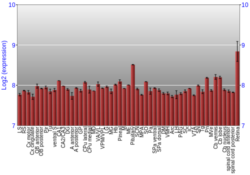 Expression graph