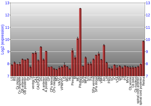 Expression graph