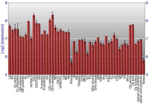 Expression graph