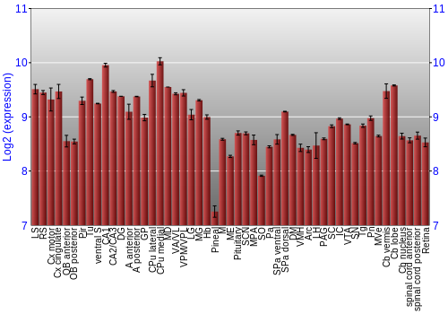 Expression graph