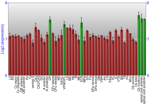 Multi-state expression graph