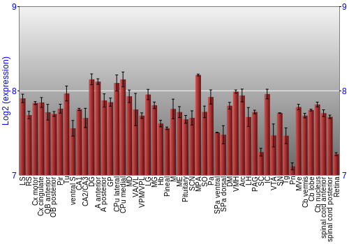 Expression graph