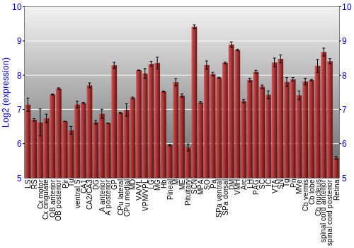Expression graph
