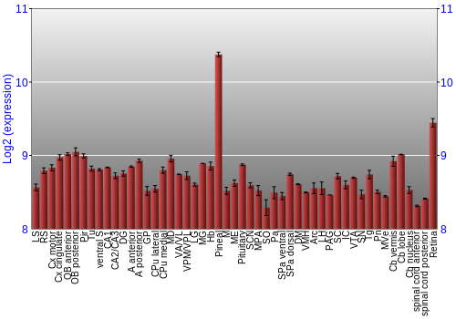 Expression graph