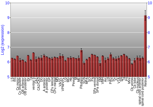 Expression graph