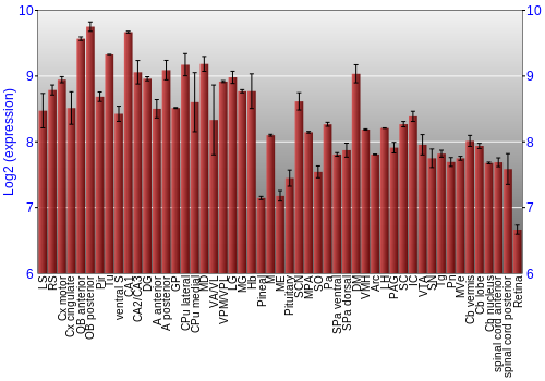 Expression graph