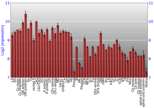 Expression graph