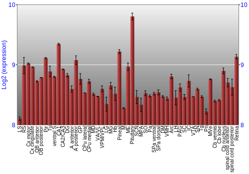 Expression graph