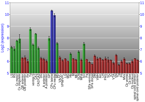 Multi-state expression graph