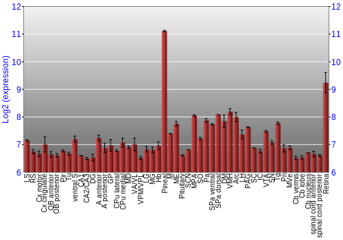 Expression graph