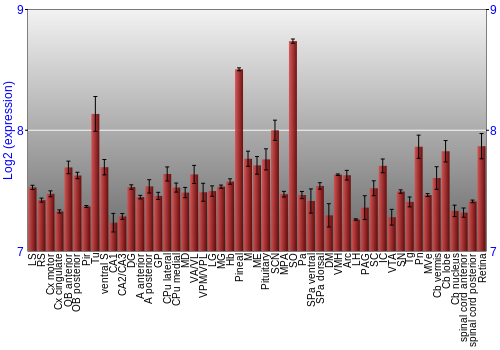 Expression graph